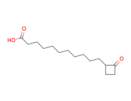 Molecular Structure of 169263-77-8 (2-Oxo-cyclobutane Undecanoic Acid)