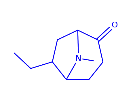 Molecular Structure of 197588-51-5 (8-Azabicyclo[3.2.1]octan-2-one,6-ethyl-8-methyl-,(1R,5R,6R)-rel-(9CI))
