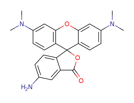 5-Aminotetramethyl Rhodamine