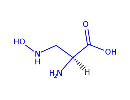 Molecular Structure of 5854-96-6 (L-2-Amino-3-hydroxyamino-propionsaeure)