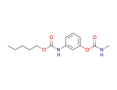 Molecular Structure of 19961-86-5 (3-{[(pentyloxy)carbonyl]amino}phenyl methylcarbamate (non-preferred name))