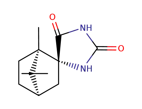 Molecular Structure of 17138-07-7 (camphor-2-spirohydantoin)