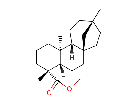(10<i>S</i>)-13-methyl-17-nor-phyllocladan-19-oic acid methyl ester