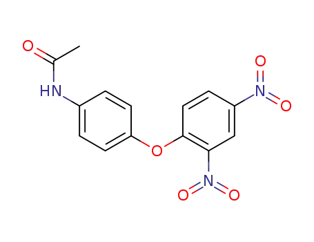 Molecular Structure of 16958-95-5 (N-[4-(2,4-dinitrophenoxy)phenyl]acetamide)