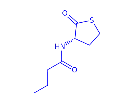 N-BUTYRYL-L-HOMOCYSTEINE THIOLACTONE