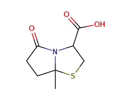 Molecular Structure of 17279-63-9 (7A-METHYL-5-OXOHEXAHYDROPYRROLO[2,1-B][1,3]THIAZOLE-3-CARBOXYLIC ACID)