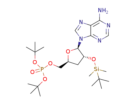 Molecular Structure of 1514900-86-7 (((2S,4R,5R)-5-(6-amino-9H-purin-9-yl)-4-((tert-butyldimethylsilyl)oxy)tetrahydrofuran-2-yl)methyl di-tert-butyl phosphate)