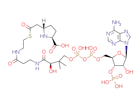 (2S,5S)-carboxymethylproline coenzyme A thioester