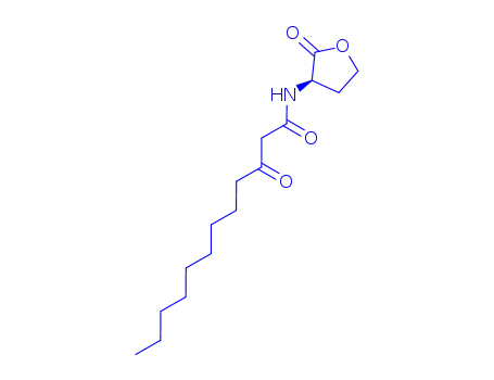 녹농균(Pseudomonas aeruginosa) 자가유도물질