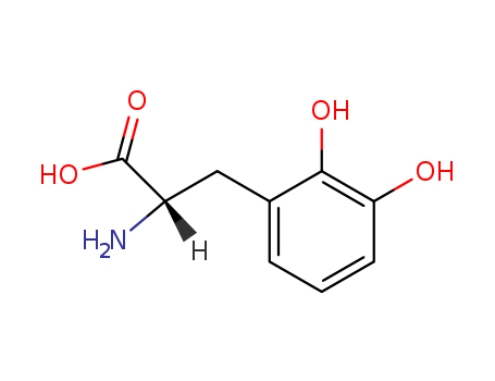 (S)-2-Amino-3-(2,3-dihydroxyphenyl)propanoic acid