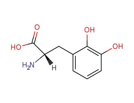 Molecular Structure of 28900-64-3 (2,3-Dihydroxy-L-Phenylalanine)
