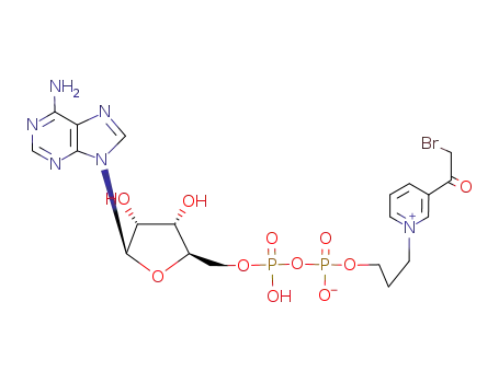 3-((3-브로모아세틸피리디니오)프로필)아데노신 피로포스페이트