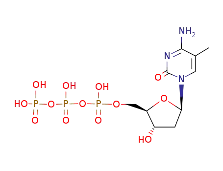 5-methyldeoxycytidine triphosphate