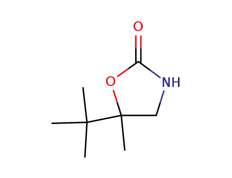 Molecular Structure of 29558-57-4 (5-tert-butyl-5-methyl-1,3-oxazolidin-2-one)