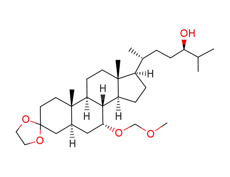 7α-methoxymethyl-3-(ethane-1',2'-diyldioxy)-5α-24R-hydroxycholestane