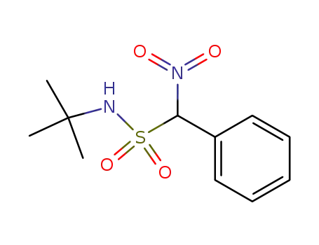 Molecular Structure of 22457-16-5 (N-tert-butyl-1-nitro-1-phenylmethanesulfonamide)