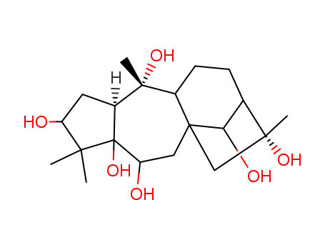 Molecular Structure of 30460-38-9 ((3alpha,6beta,14S)-grayanotoxane-3,5,6,10,14,16-hexol)