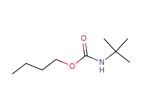 Molecular Structure of 22815-64-1 (Butyl-N-tert-butyl carbamate)