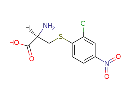 Molecular Structure of 305-39-5 (S-(2-chloro-4-nitrophenyl)cysteine)