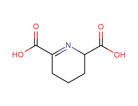 Molecular Structure of 2353-17-5 (2,3,4,5-tetrahydro-2,6-pyridinedicarboxylic acid)