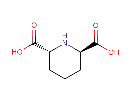 Molecular Structure of 499-82-1 (2,6-piperidinedicarboxylic acid)