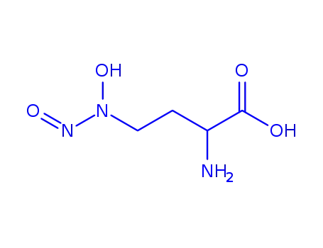 Molecular Structure of 17111-47-6 (2-amino-4-[hydroxy(nitroso)amino]butanoic acid)