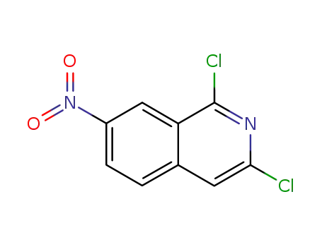 Molecular Structure of 24623-46-9 (1,3-DICHLORO-7-NITROISOQUINOLINE)