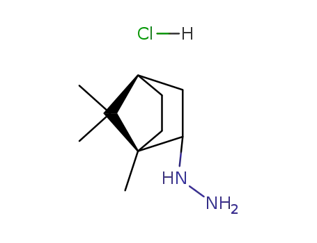 Molecular Structure of 24629-73-0 ((1,7,7-trimethylbicyclo[2.2.1]hept-2-yl)hydrazine hydrochloride (1:1))