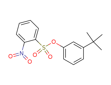 Benzenesulfonic acid,2-nitro-, 3-(1,1-dimethylethyl)phenyl ester cas  25237-68-7