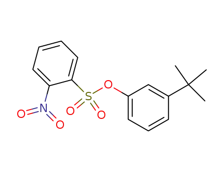 Molecular Structure of 25237-68-7 (3-tert-butylphenyl 2-nitrobenzenesulfonate)