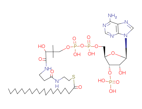 Nonadecanoyl Coenzyme A, Free Acid