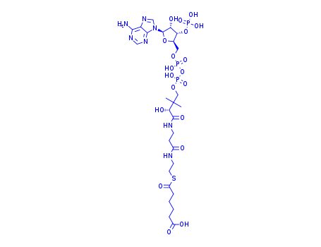 6-[2-[3-[[(2R)-4-[[[(2R,3S,4R,5R)-5-(6-aminopurin-9-yl)-4-hydroxy-3-phosphonooxyoxolan-2-yl]methoxy-hydroxyphosphoryl]oxy-hydroxyphosphoryl]oxy-2-hydroxy-3,3-dimethylbutanoyl]amino]propanoylamino]ethy