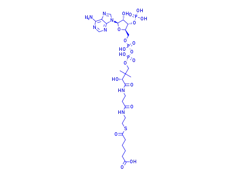 Molecular Structure of 25119-42-0 (6-[2-[3-[[(2R)-4-[[[(2R,3S,4R,5R)-5-(6-aminopurin-9-yl)-4-hydroxy-3-phosphonooxyoxolan-2-yl]methoxy-hydroxyphosphoryl]oxy-hydroxyphosphoryl]oxy-2-hydroxy-3,3-dimethylbutanoyl]amino]propanoylamino]ethylsulfanyl]-6-oxohexanoic acid)