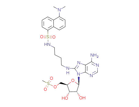 8-amino[1''-(N''-dansyl)-4''-aminobutyl]-5'-O-mesyladenosine