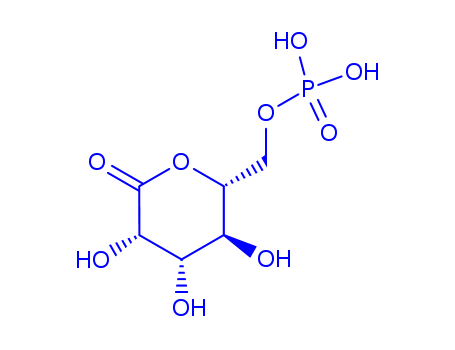 6-Phosphoglucono-δ-lactone