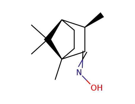 Molecular Structure of 32134-53-5 (1,3,7,7-Tetramethylbicyclo[2.2.1]heptan-2-one oxime)