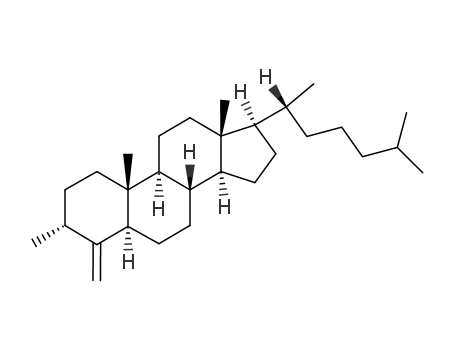 3α-methyl-4-methylene-5α-cholestane