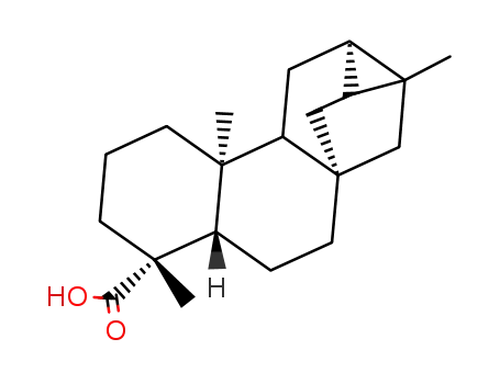 trachyloban-19-oic acid