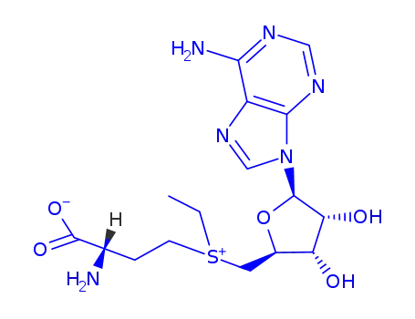 S-アデノシルエチオニン