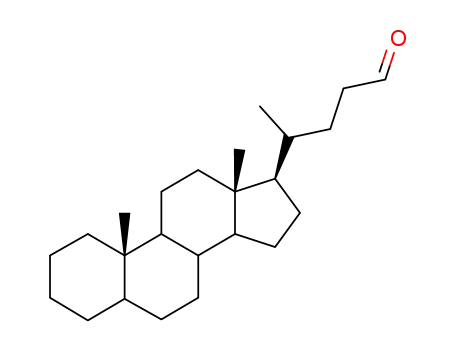 Molecular Structure of 26606-02-0 (Cholan-24-al)