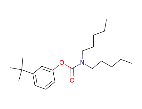 3-TERT-부틸페놀