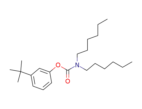 N,N-디헥실카르밤산 3-tert-부틸페닐 에스테르