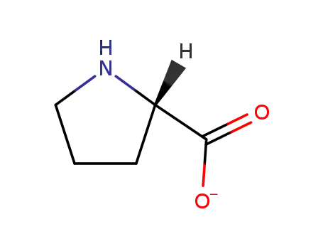 L-proline anion
