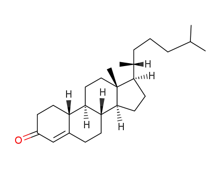 Molecular Structure of 3404-22-6 (19-norcholest-4-en-3-one)