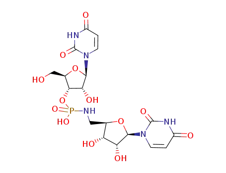 uridylyl (3'-5') 5'-amino-5'-deoxyuridine