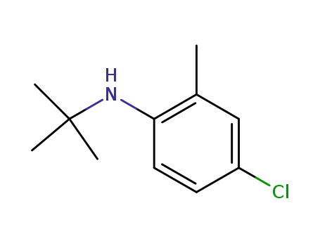 Molecular Structure of 35347-22-9 (N-tert-butyl-4-chloro-2-methylaniline)