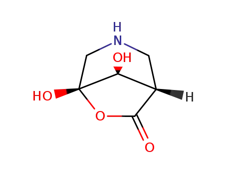 6-Oxa-3-azabicyclo[3.2.1]octan-7-one, 5,8-dihydroxy-, (1S,5R,8S)- (9CI)