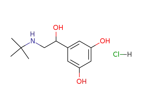 Molecular Structure of 53144-56-2 (5-[2-(tert-butylamino)-1-hydroxyethyl]benzene-1,3-diol hydrochloride)