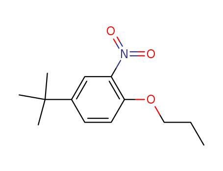 4-tert-Butyl-2-nitrophenyl propyl ether  CAS NO.33353-60-5
