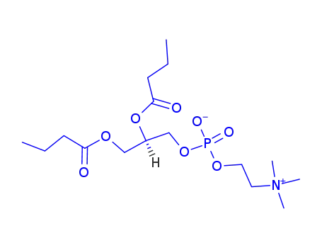 1,2-디부티릴-SN-글리세로-3-포스포콜린